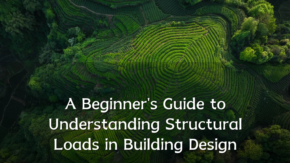 A Beginner's Guide to Understanding Structural Loads in Building Design