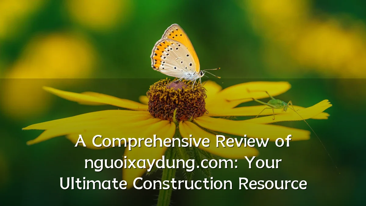 A Comprehensive Review of nguoixaydung.com: Your Ultimate Construction Resource