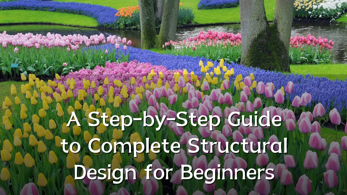A Step-by-Step Guide to Complete Structural Design for Beginners