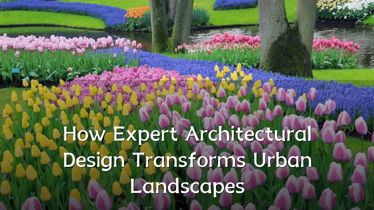 How Expert Architectural Design Transforms Urban Landscapes