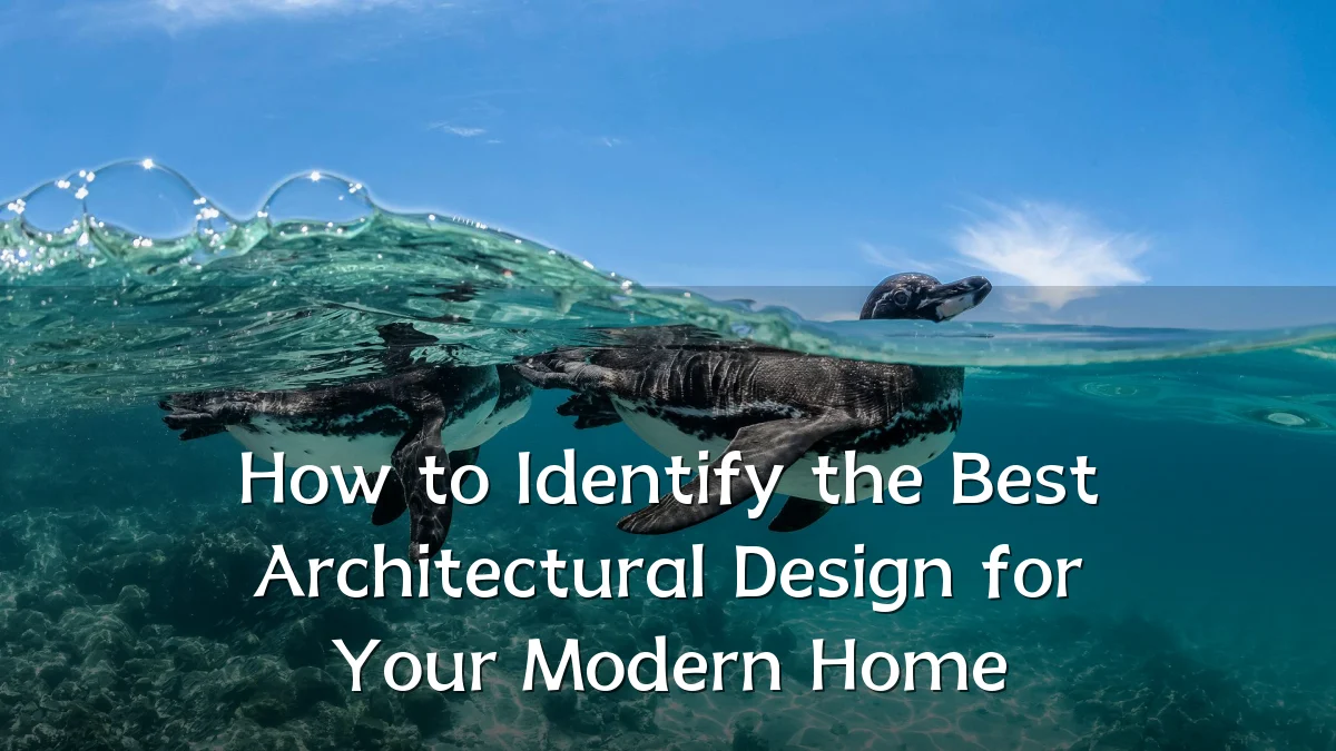 How to Identify the Best Architectural Design for Your Modern Home
