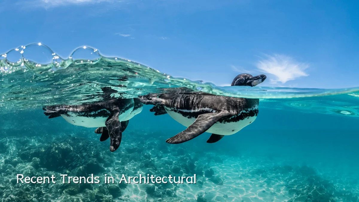 Recent Trends in Architectural