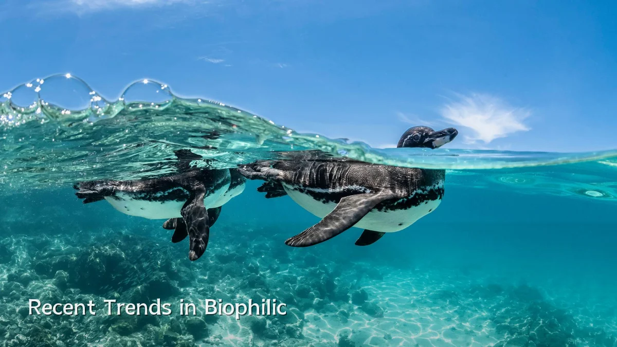 Recent Trends in Biophilic