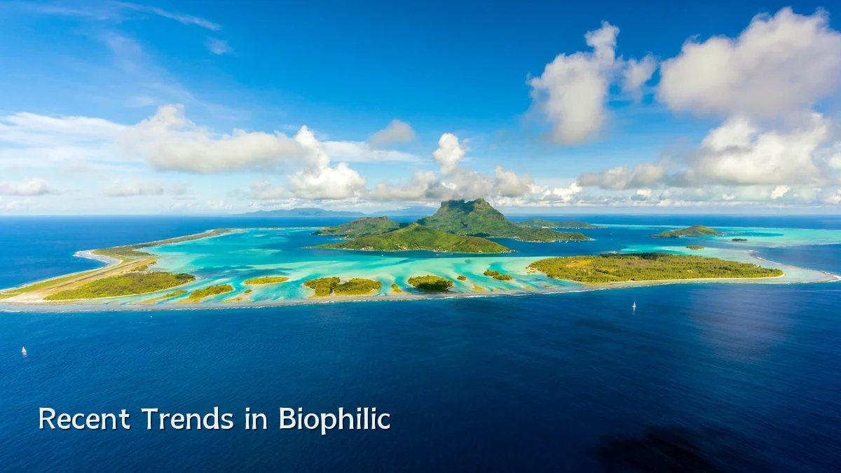 Recent Trends in Biophilic