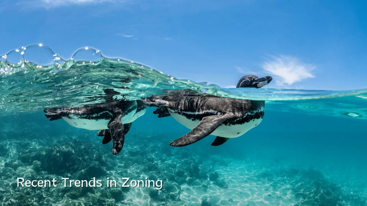 Recent Trends in Zoning