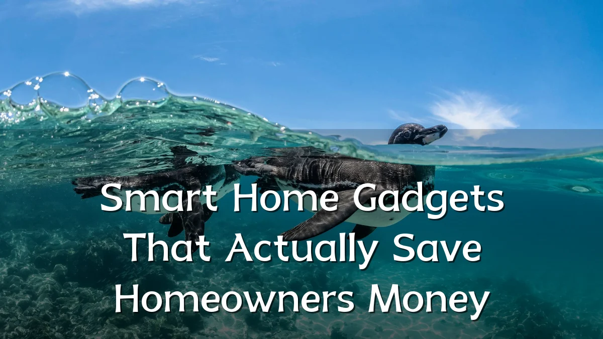 Smart Home Gadgets That Actually Save Homeowners Money
