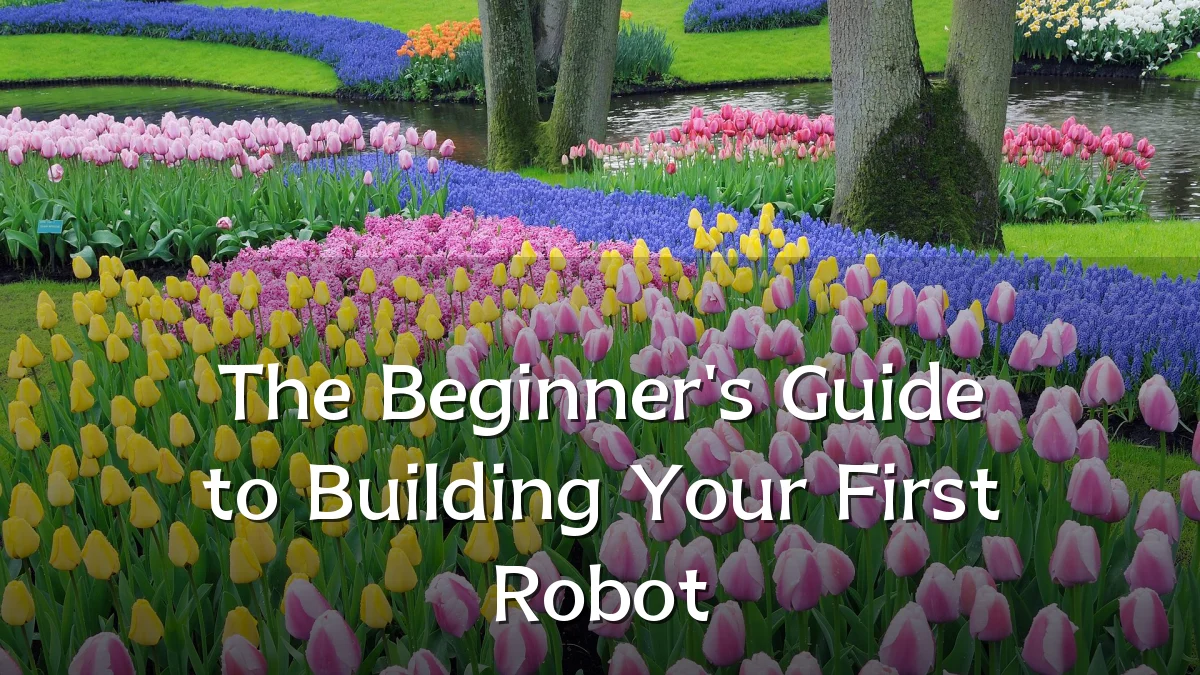 The Beginner's Guide to Building Your First Robot
