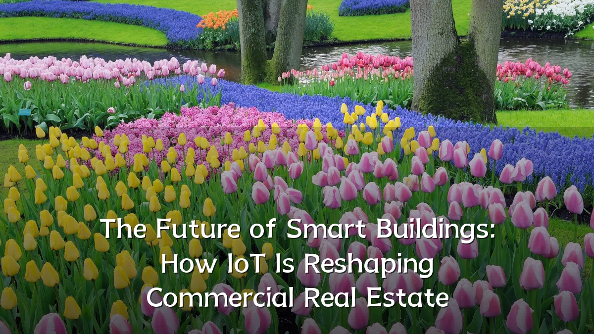 The Future of Smart Buildings: How IoT Is Reshaping Commercial Real Estate