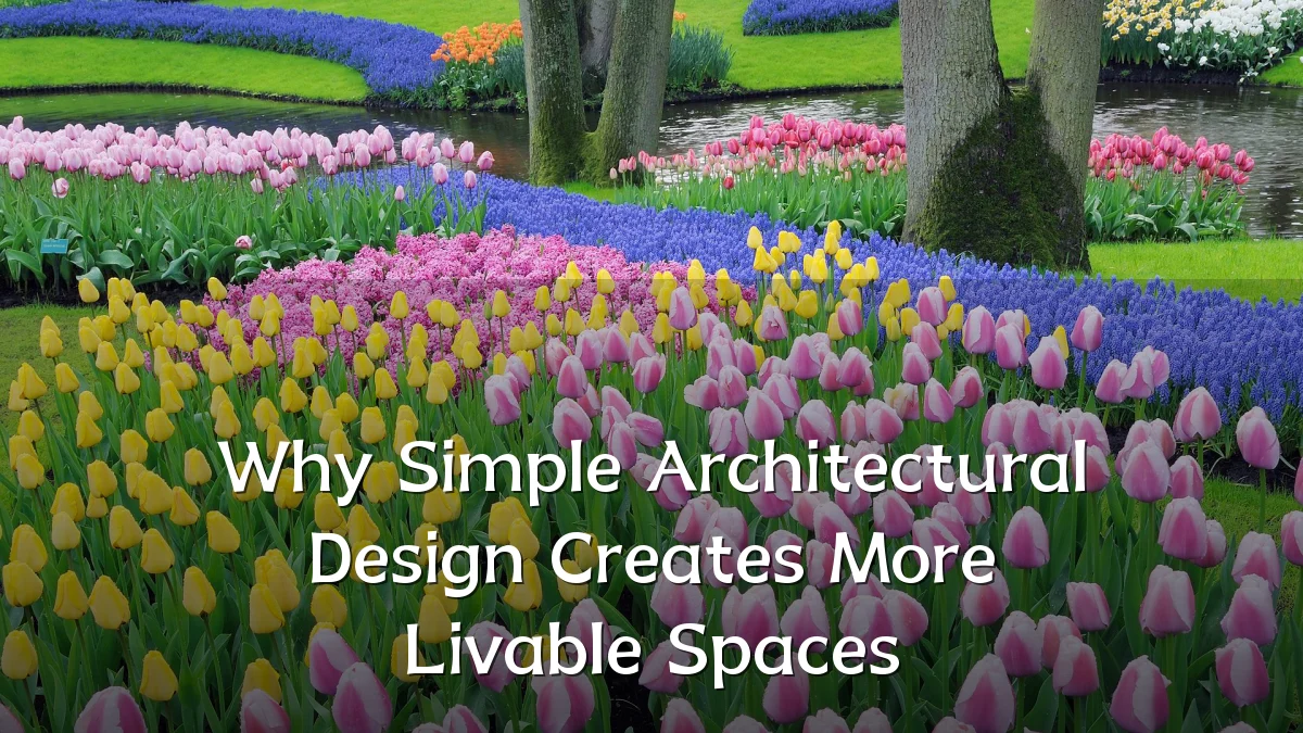 Why Simple Architectural Design Creates More Livable Spaces