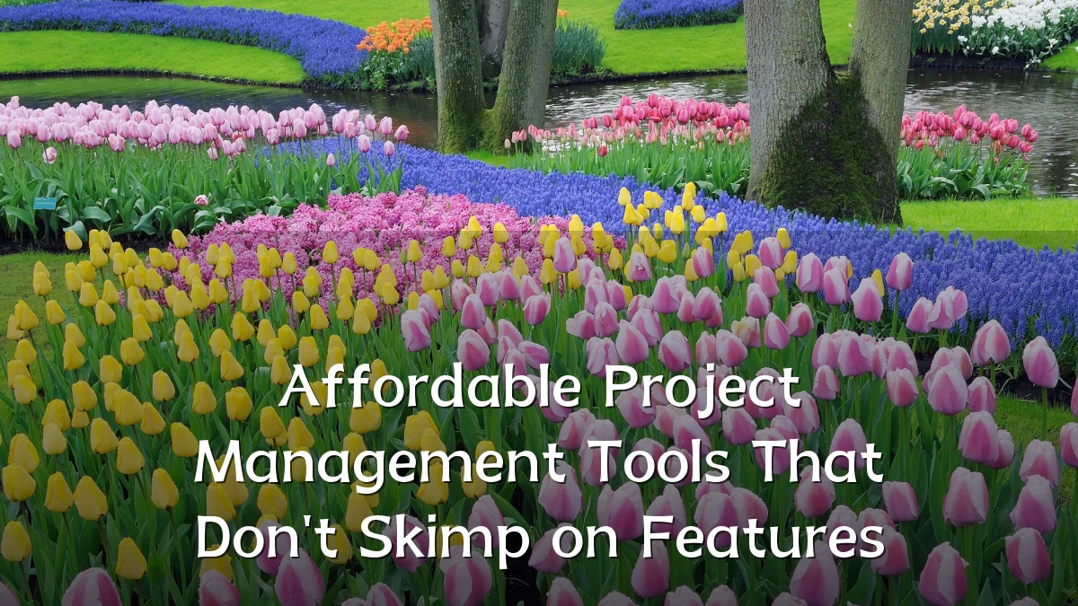 Affordable Project Management Tools That Don't Skimp on Features