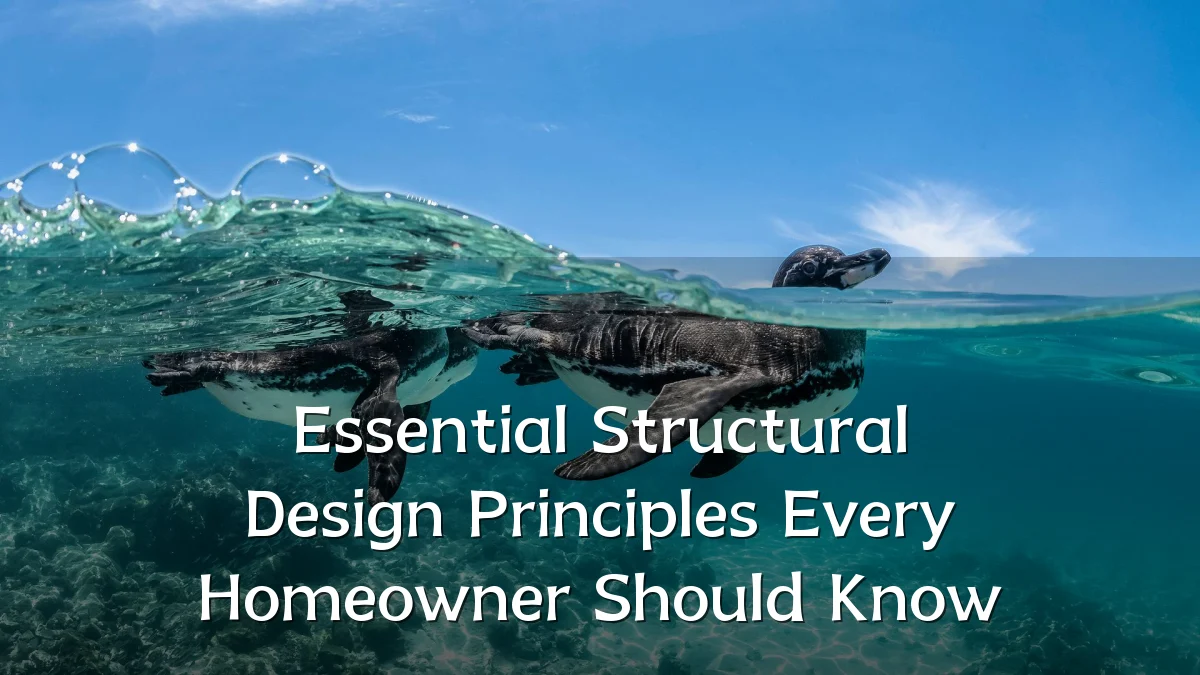 Essential Structural Design Principles Every Homeowner Should Know
