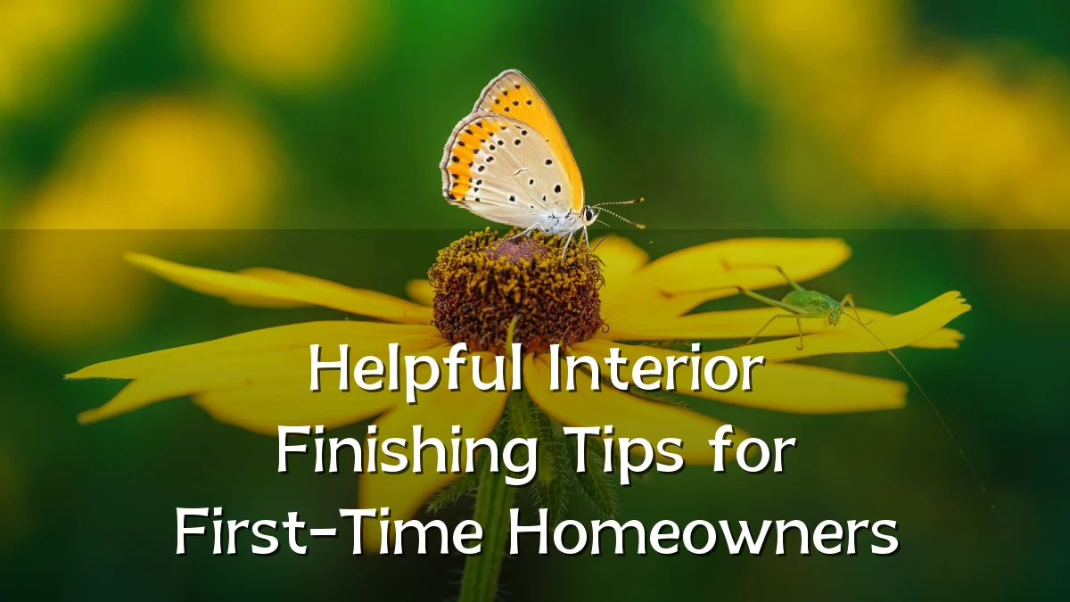Helpful Interior Finishing Tips for First-Time Homeowners