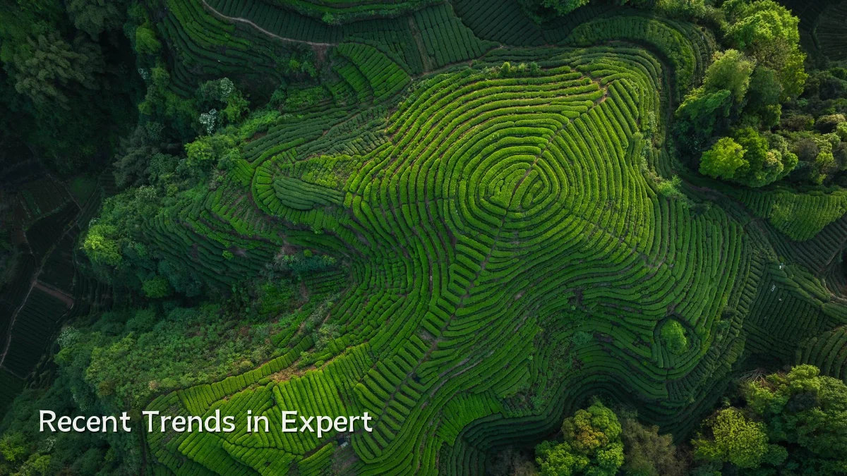 Recent Trends in Expert