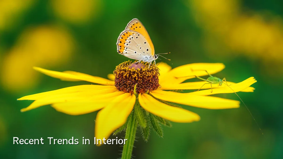Recent Trends in Interior