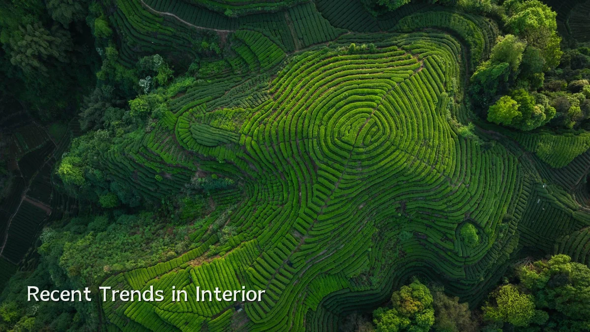 Recent Trends in Interior