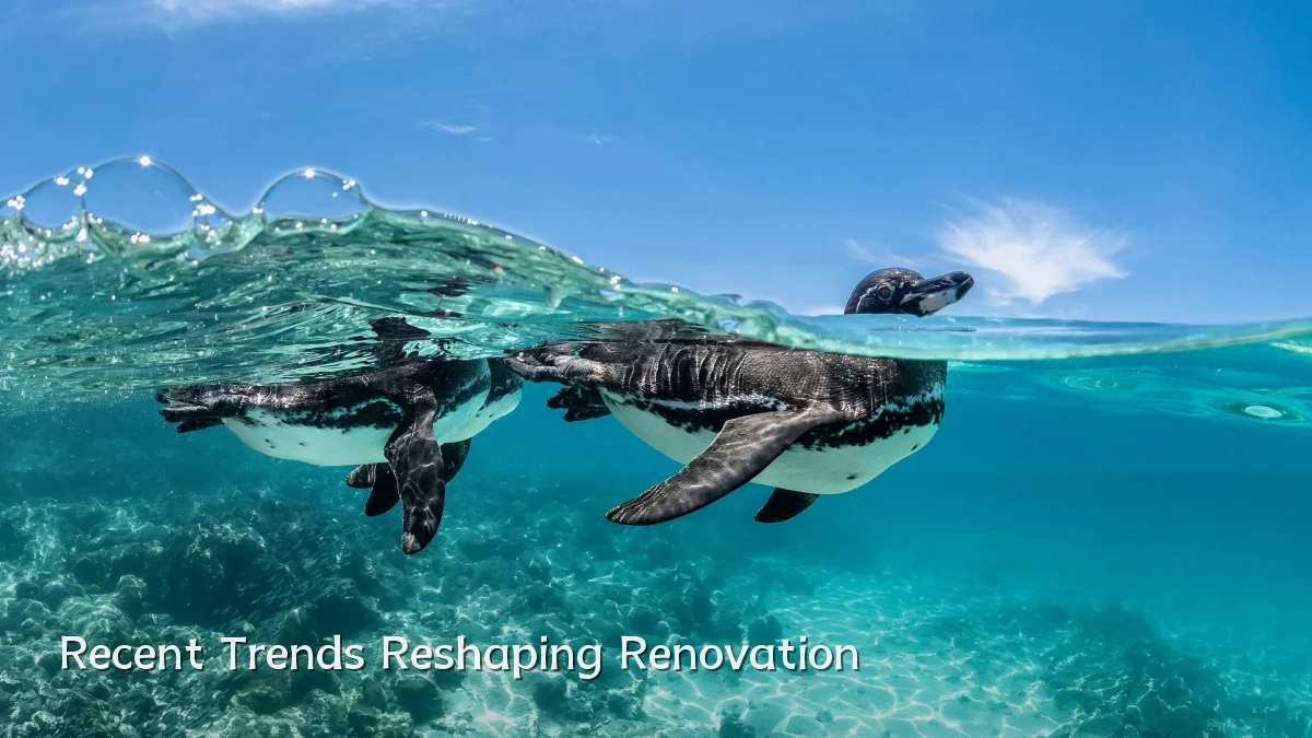 Recent Trends Reshaping Renovation