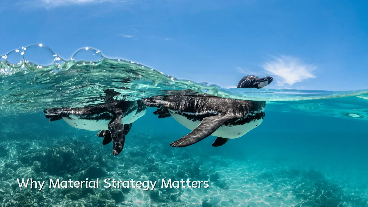 Why Material Strategy Matters