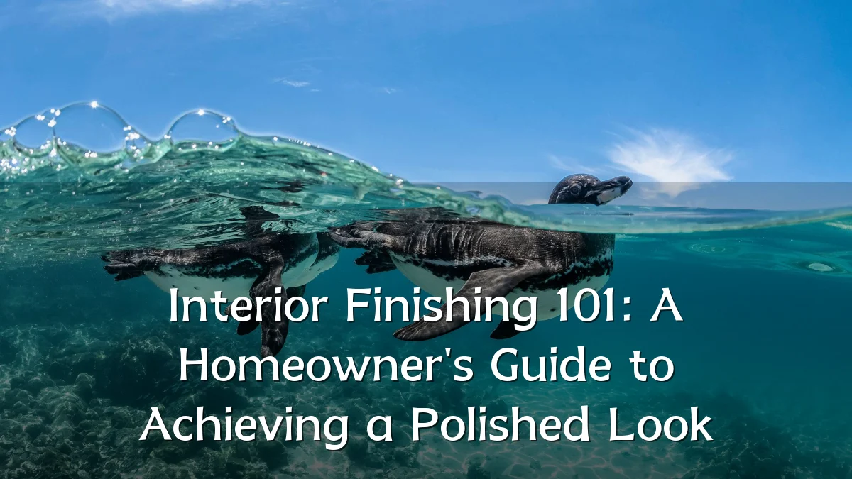 Interior Finishing 101: A Homeowner's Guide to Achieving a Polished Look