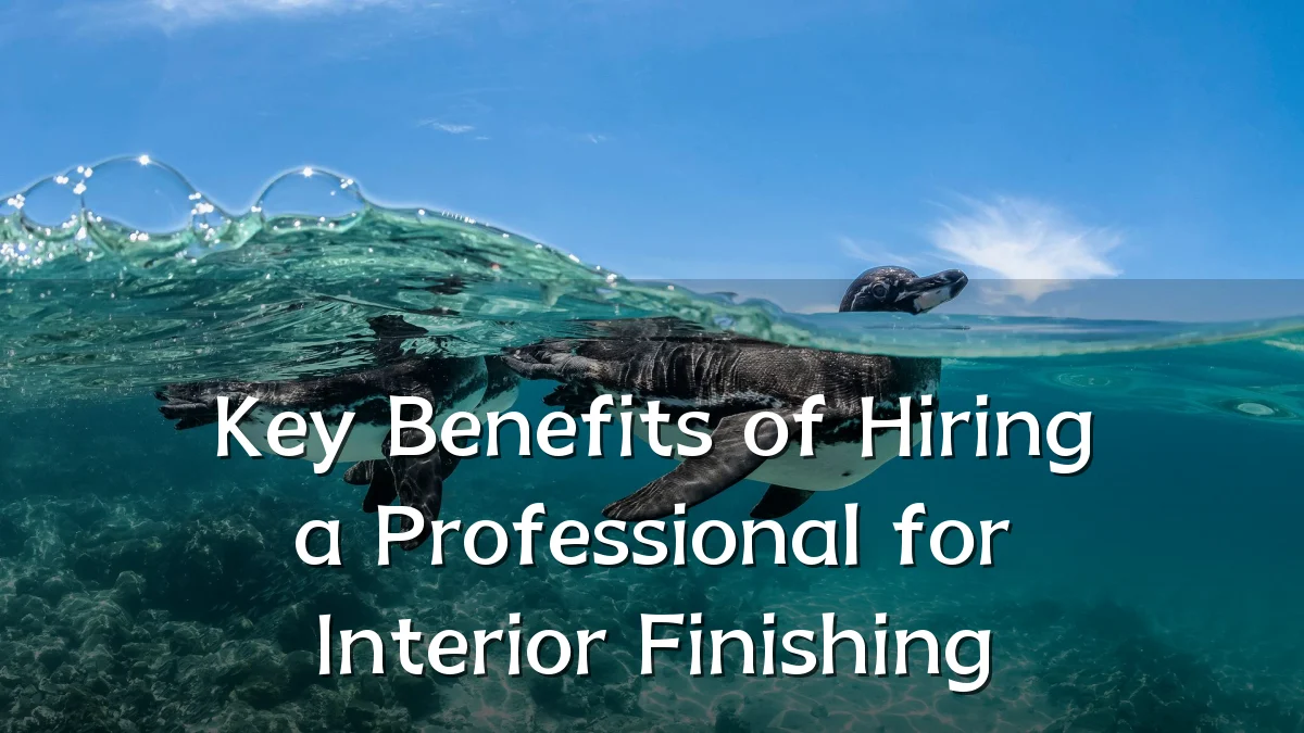 Key Benefits of Hiring a Professional for Interior Finishing