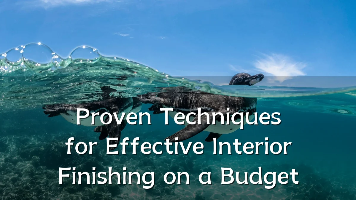 Proven Techniques for Effective Interior Finishing on a Budget