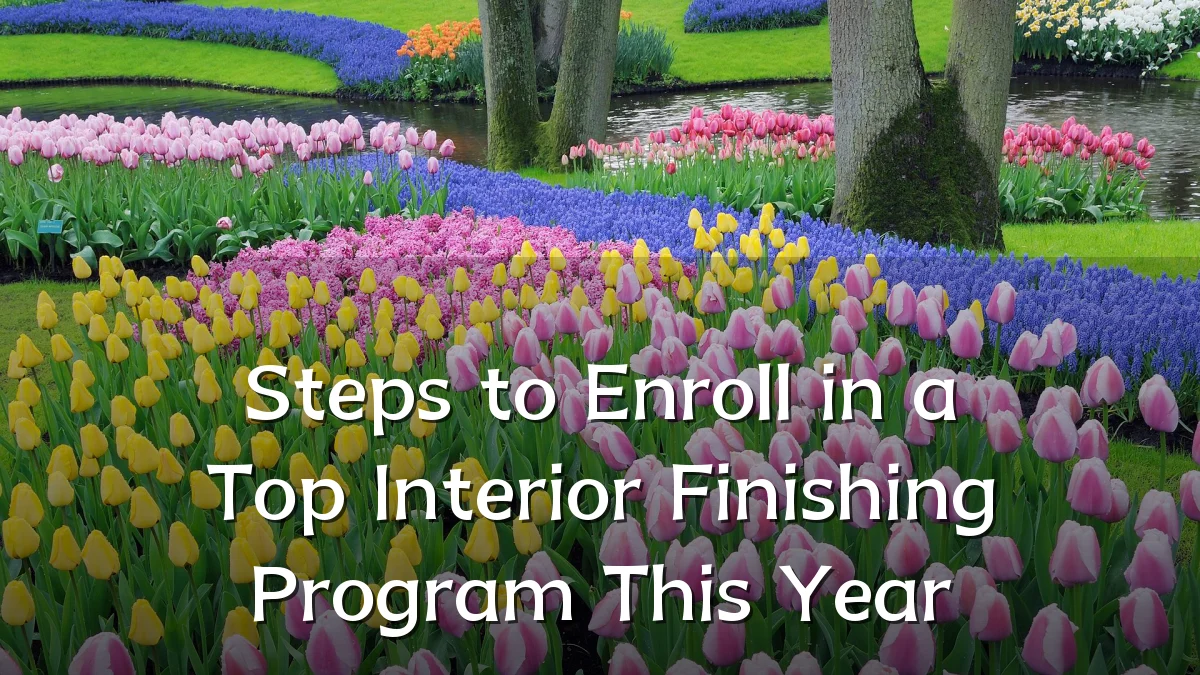 Steps to Enroll in a Top Interior Finishing Program This Year