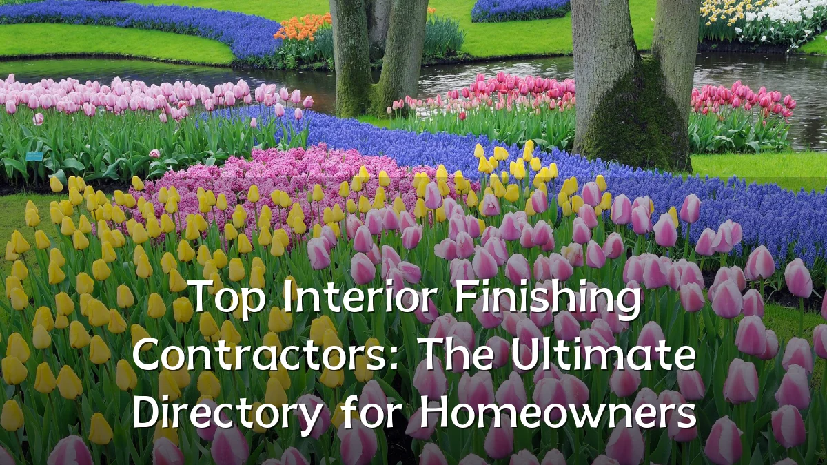 Top Interior Finishing Contractors: The Ultimate Directory for Homeowners