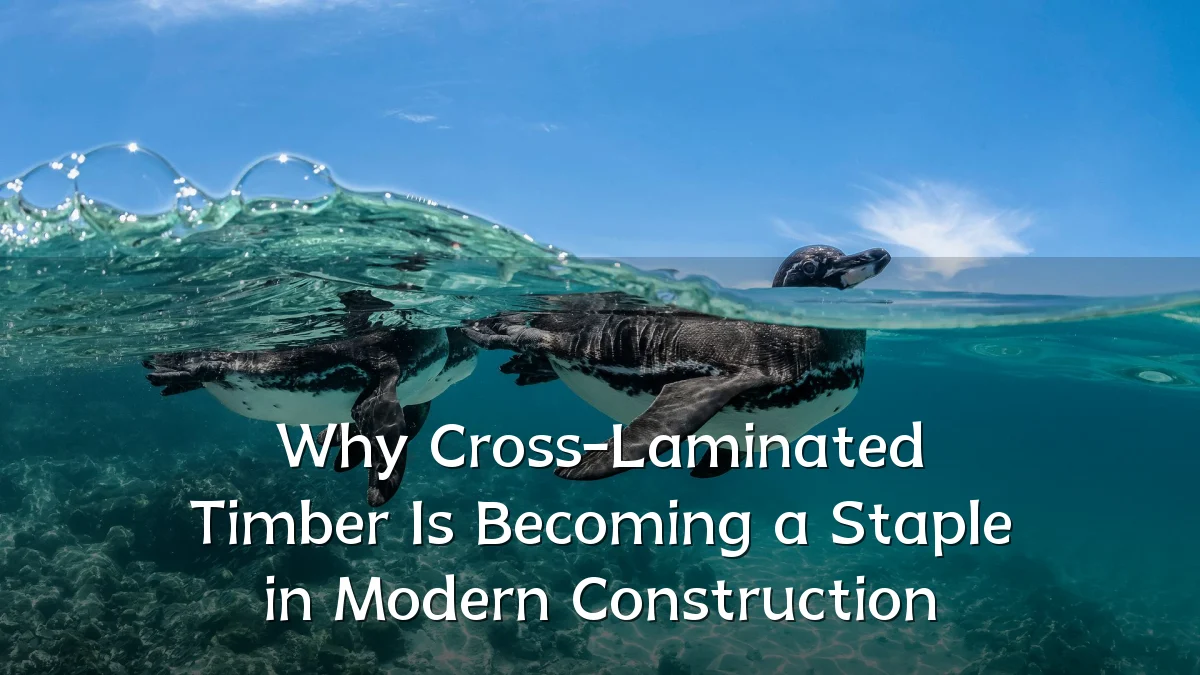Why Cross-Laminated Timber Is Becoming a Staple in Modern Construction